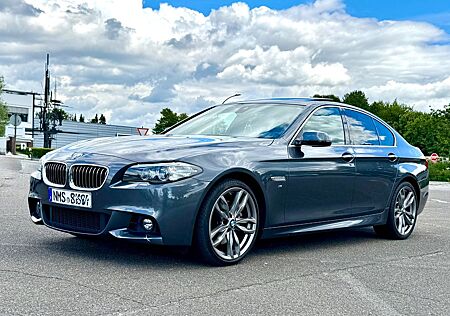 BMW 530d Limousine M Sportpaket AHK GSD