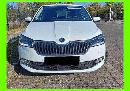 Skoda Fabia CLEVER 1.0l *Klima*LED*SHZ*Tempomat*DAB