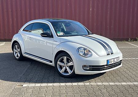 VW Beetle Volkswagen 1.4 TSI Sport *Leder**SHZ**PDC*
