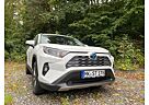 Toyota RAV 4 RAV4 Hybrid Team D | Technik-Pak.*LED*SHZ*Kamera