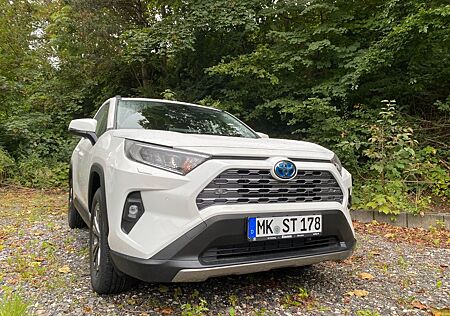 Toyota RAV 4 RAV4 Hybrid Team D | Technik-Pak.*LED*SHZ*Kamera