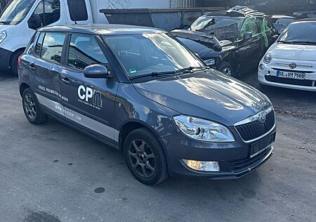 Skoda Fabia Ambiente,Klima,servo,Euro5,usw.