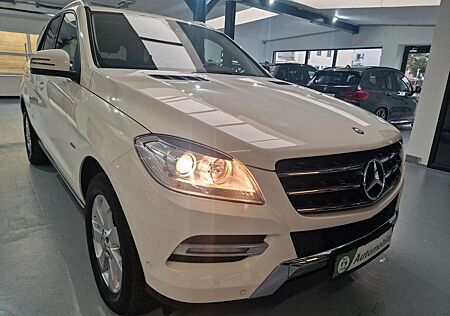 Mercedes-Benz ML 250 CDI BlueTec SCHECKHEFT 8-FACH