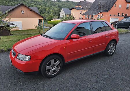 Audi A3 gebraucht kaufen Audi A3 1.8T Benzin und Gas