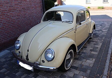 VW Käfer Volkswagen