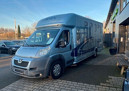 Peugeot Boxer (Pferdetransporter)