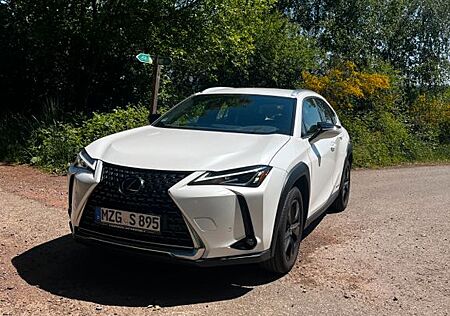 Lexus UX 250h E-FOUR Executive Line