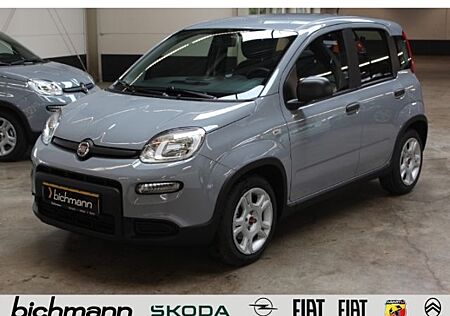 Fiat Panda Hybrid 1.0 Klima DAB BT MP3 SB Beif.- Airb