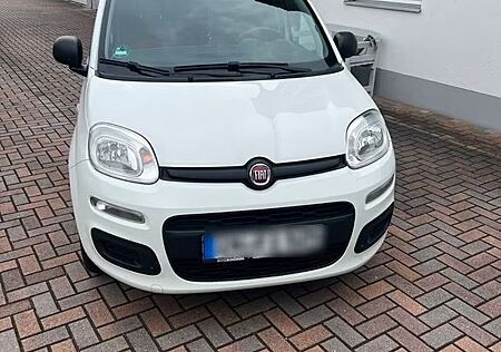 Fiat Panda 1,2 POP *Klima*TÜV NEU*