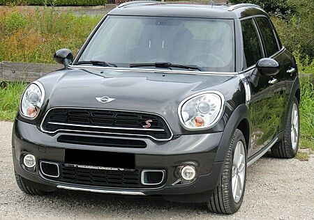 Mini Cooper S Countryman Countryman Cooper S ALL4, Final Edition, 8x Alu