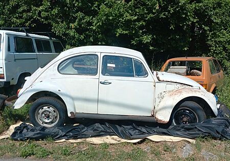 VW Käfer Volkswagen