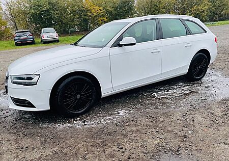 Audi A4 2.0 TDI 105kW Ambiente Avant Ambiente