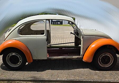 VW Käfer Volkswagen