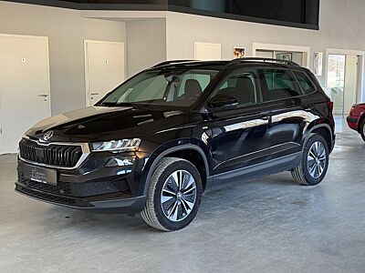 Skoda Karoq 2.0 TDI 4x4 Tour LED/StandHZ/AHK/Kam/ACC
