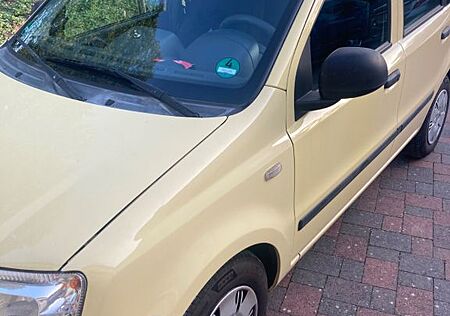 Fiat Panda 169 - Motor wie neu!