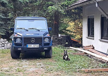 Mercedes-Benz G 300 TD Lang 463