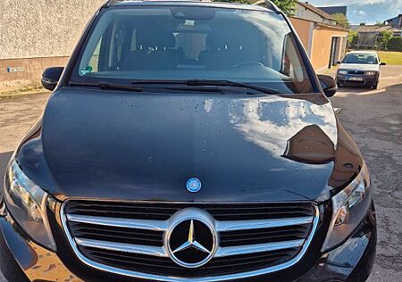 Mercedes-Benz V 250 d EDITION lang EDITION