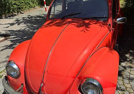 VW Käfer Volkswagen