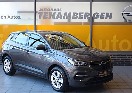 Opel Grandland X Grandland Edition 1.2 Automatik Navi PDC v+h LED