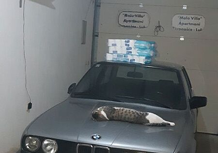 BMW 316 gebraucht kaufen BMW 316