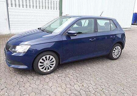 Skoda Fabia Active*Klima*Sparsam*Tüv*Gute Reifen*