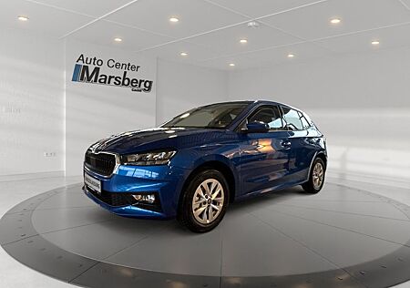 Skoda Fabia 1.0 TSI Selection 2xKlima KlimaA LED LM