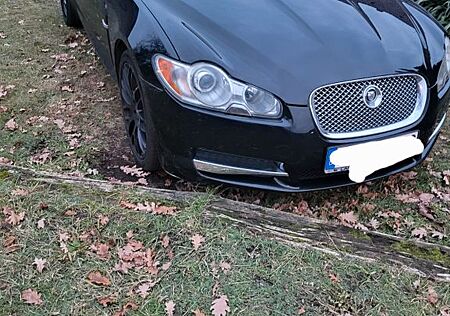 Jaguar XF 2.7 L V6 Diesel Luxury Luxury