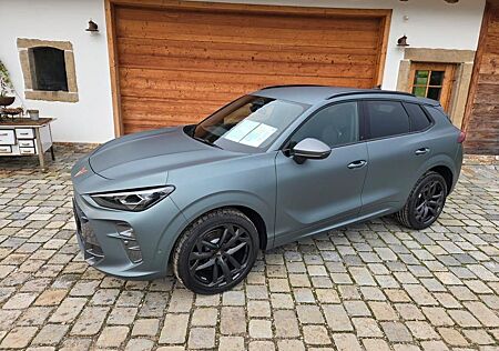 Cupra Terramar 2.0 TSI DSG 4Drive Americas CUP, AHK, H