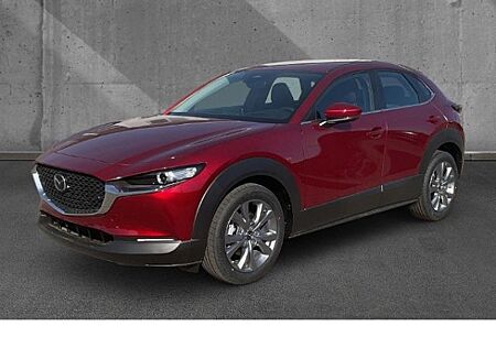 Mazda CX-30 2.5 AT Center-Line Lenkradheizung Navi