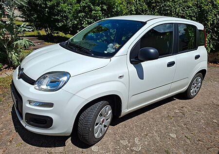 Fiat Panda 1,2 mit 70 PS - Garagenwagen mit wenig KM