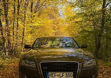 Audi A5 3.0 TDI (DPF Off) S tronic quattro Sportback