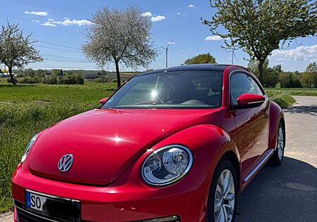 VW Beetle Volkswagen 1.6 TDI - Panoramadach