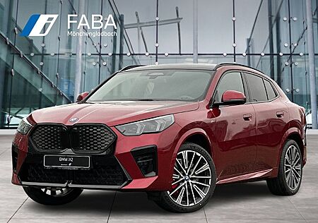 BMW iX2 xDrive30 M Sportpaket Head-Up HK HiFi DAB