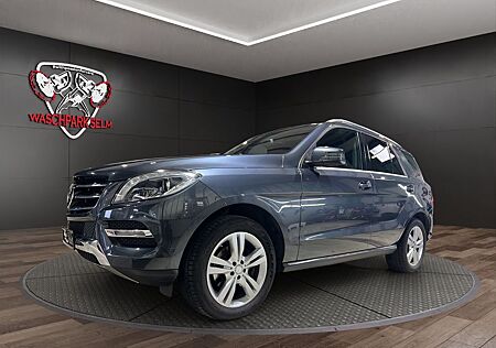 Mercedes-Benz ML 350 gebraucht kaufen Mercedes-Benz ML 350 ML -Klasse CDI BlueTec