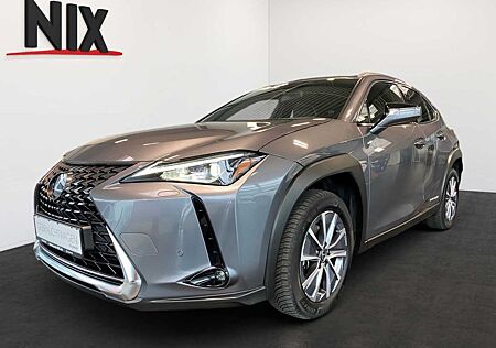 Lexus UX 300e Executive LED PDC KLIMA KAMERA
