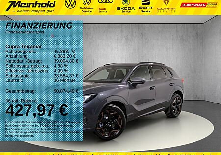 Cupra Terramar 2.0 TSI DSG 4Drive, EDGE Paket, Standh.