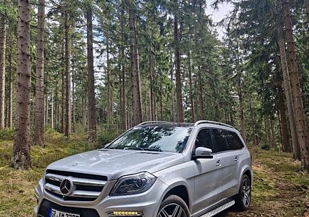 Mercedes-Benz GL 500 /550 4MATIC - AMG - Offroad Paket
