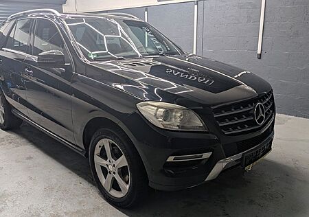 Mercedes-Benz ML 350 CDI BlueTec 4 MATIC PANO TOTWINKEL AHK