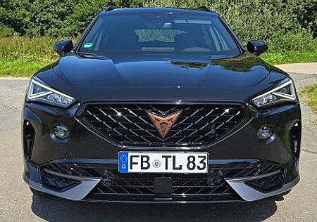 Cupra Formentor gebraucht kaufen Cupra Formentor 1.5 TSI 110kW -