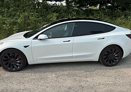 Tesla Model 3 Performance Matrix-LED Dual AWD