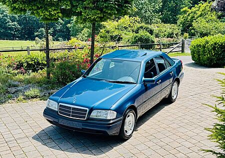 Mercedes-Benz C 200 W202 Diesel mit H-Zulassung