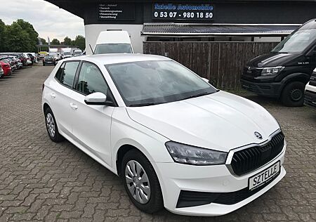 Skoda Fabia 1.0 Active *LPG-UMBAU*