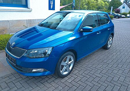 Skoda Fabia 1,0 TSI BMT Ambition 110PS AHK Blth. 16"