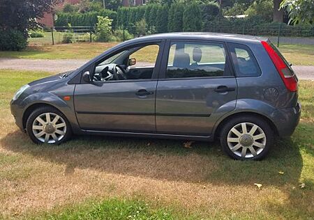 Ford Fiesta 1,3 51 kW Viva Viva