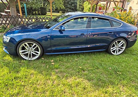 Audi A5 3.0 TDI S tronic quattro mit Standheizung