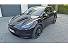 Tesla Model Y Performance Dual Motor AWD Performance