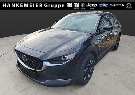 Mazda CX-30 Homura 2WD Head-Up, LED, Navi, Kamera, Aut