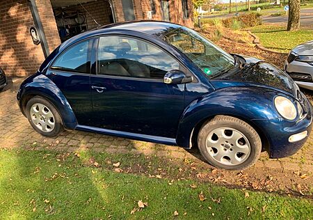 VW Beetle Volkswagen - Neuer Zahn/Rippenriemen