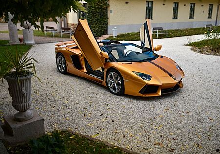 Lamborghini Aventador Roadster/Ad Personam Int.+Ext.