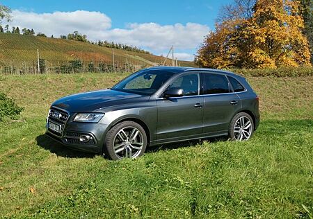 Audi SQ5 3.0 TDI competition tiptronic quattro -